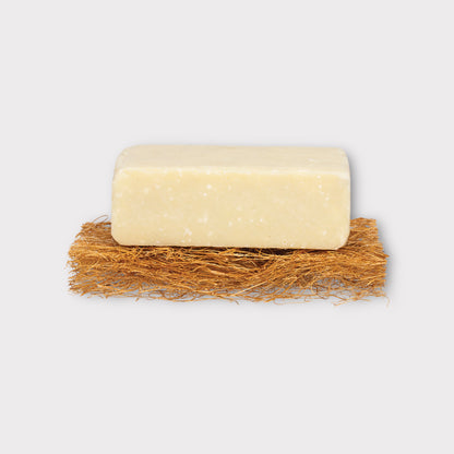 Safix Coconut Scourer